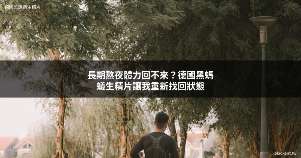 德國黑螞蟻生精片 長期熬夜體力恢復 男性保健