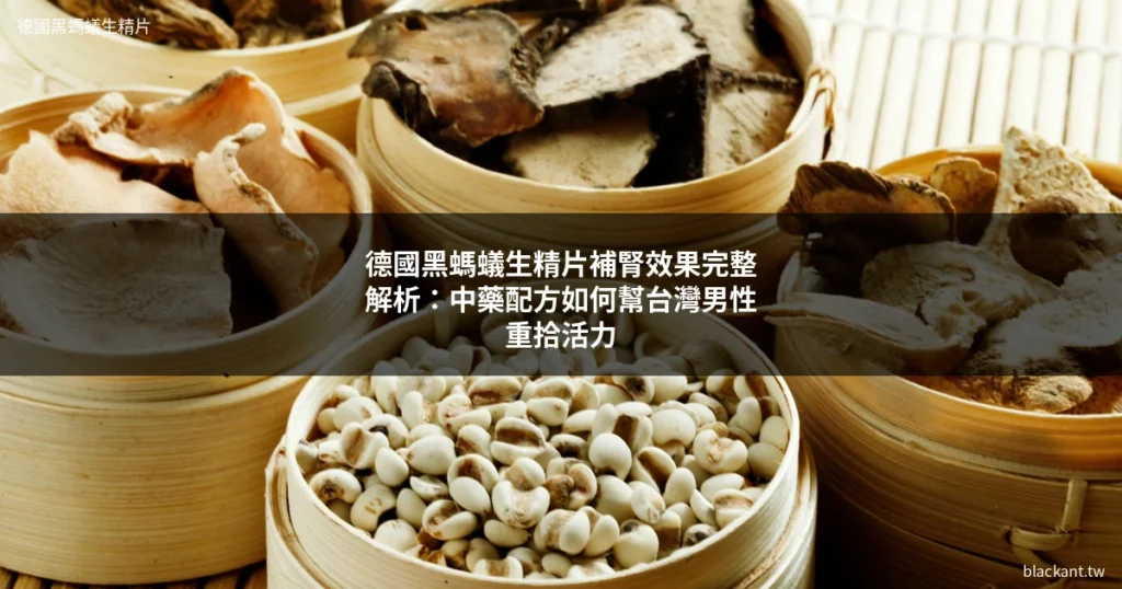 德國黑螞蟻生精片 補腎 中藥配方